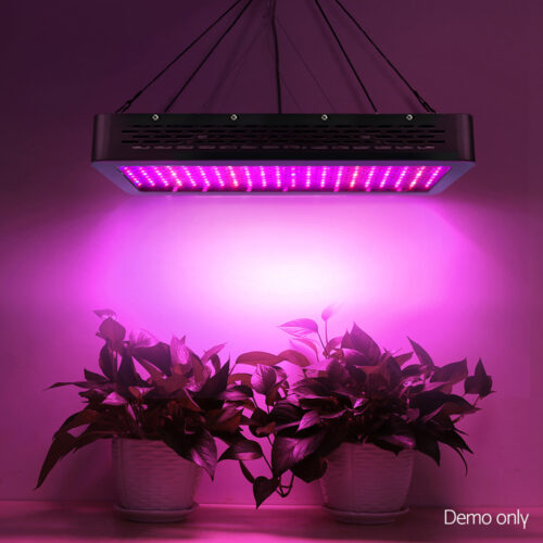 Green Fingers 2000W Grow Light LED Full Spectrum Indoor Plant All Stage Growth - Image 6