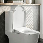 Cefito Non Electric Bidet Toilet Seat D-Shape Dual Nozzle Soft Close WaterMark DIY