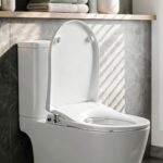 Cefito Non Electric Bidet Toilet Seat D-Shape Dual Nozzle Soft Close WaterMark DIY